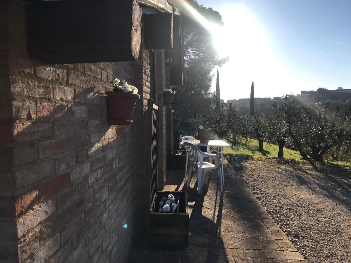 La Perla Tra Gli Ulivi Apartment Siena Luaran gambar