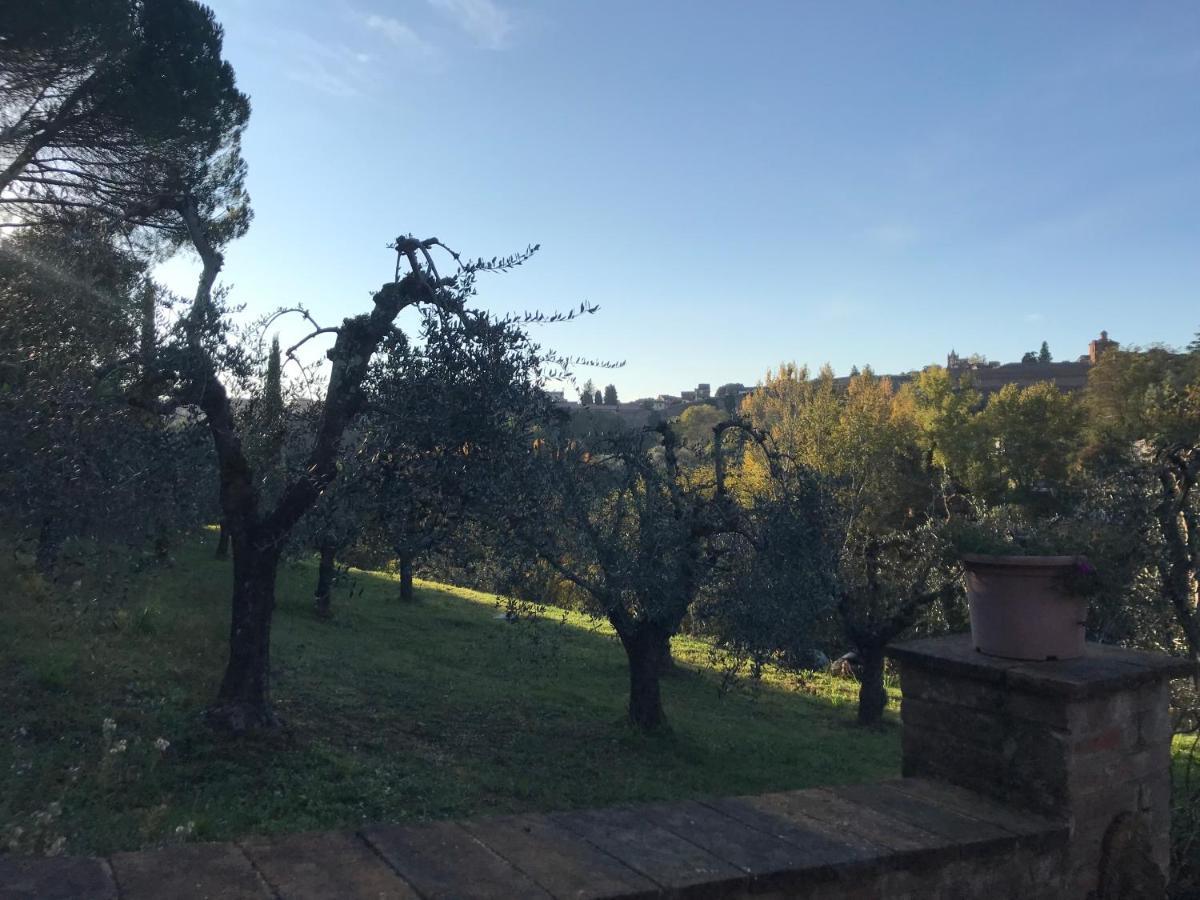 La Perla Tra Gli Ulivi Apartment Siena Luaran gambar