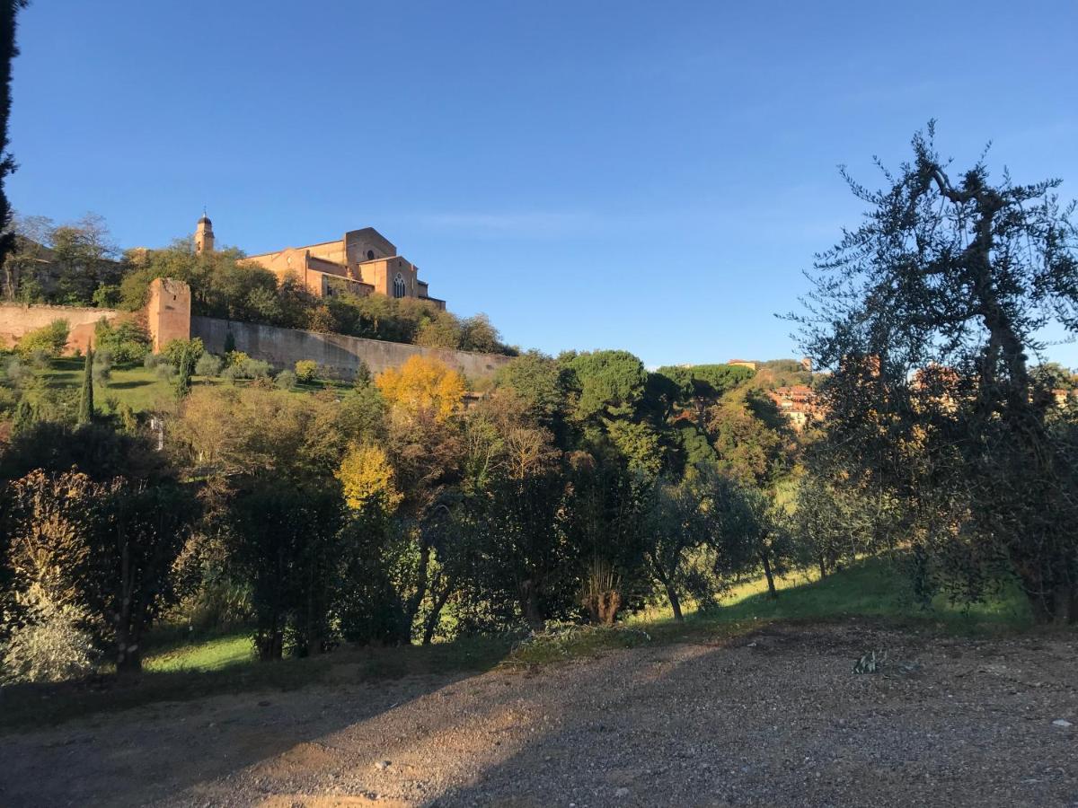 La Perla Tra Gli Ulivi Apartment Siena Luaran gambar